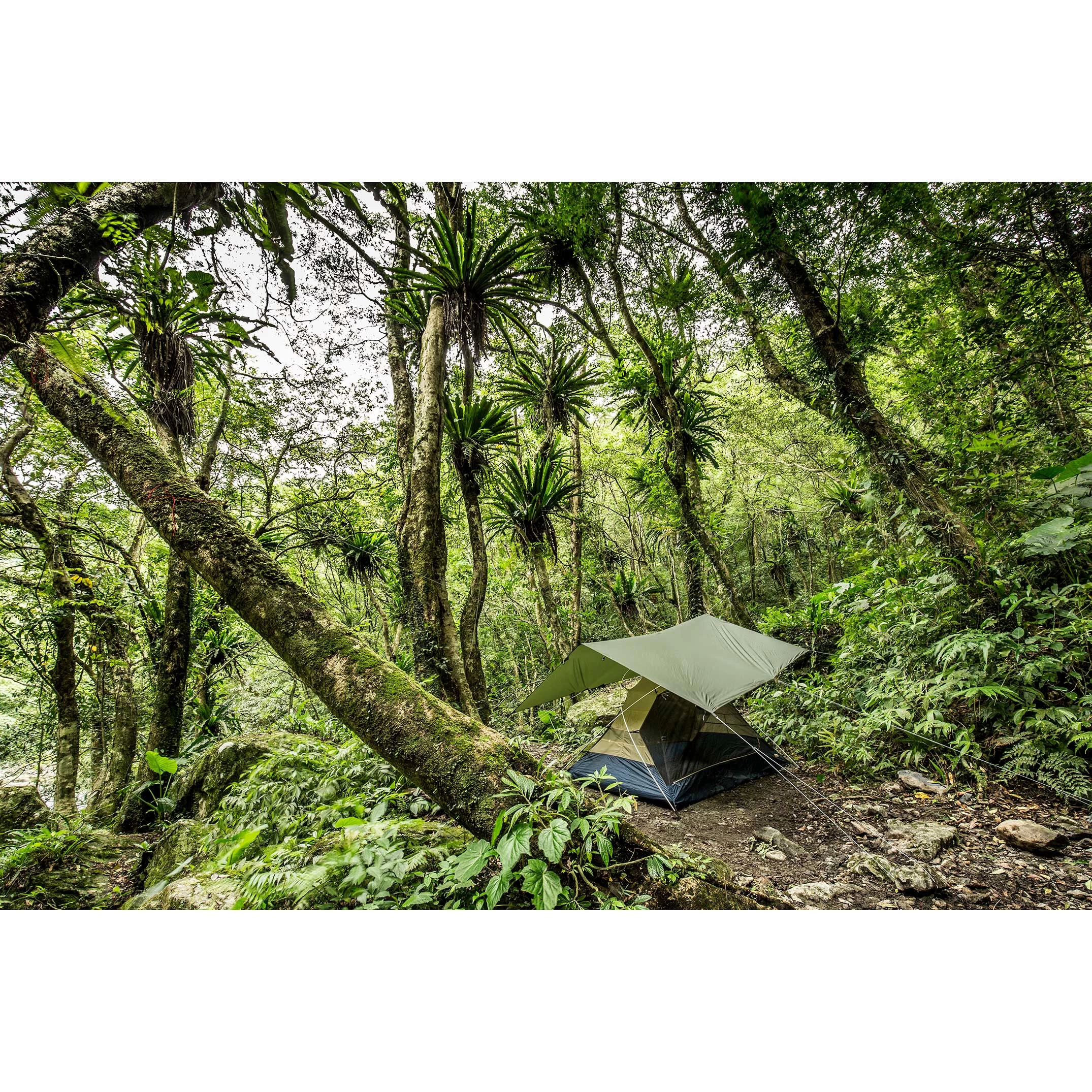 FJÄLLRÄVEN Fjällräven Abisko Tarp Large Pine Green – Bild 3